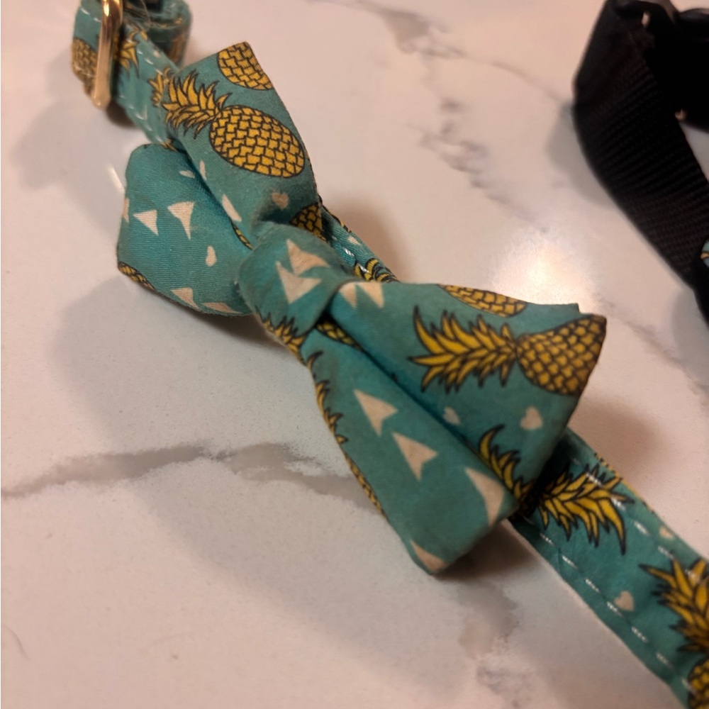 Pineapple Print Pack leash collar and harness combo - Picture 4 of 10